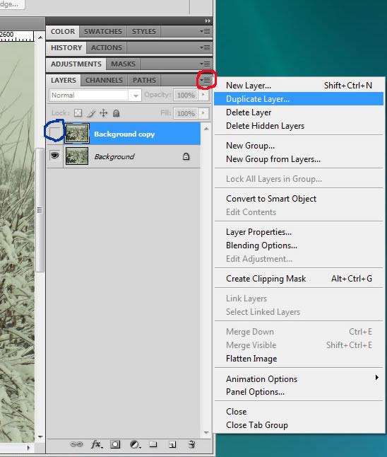 backup layer